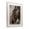 Stupell Industries All Ears Donkey Framed Print Under Glass, design by Robin-Lee Viera